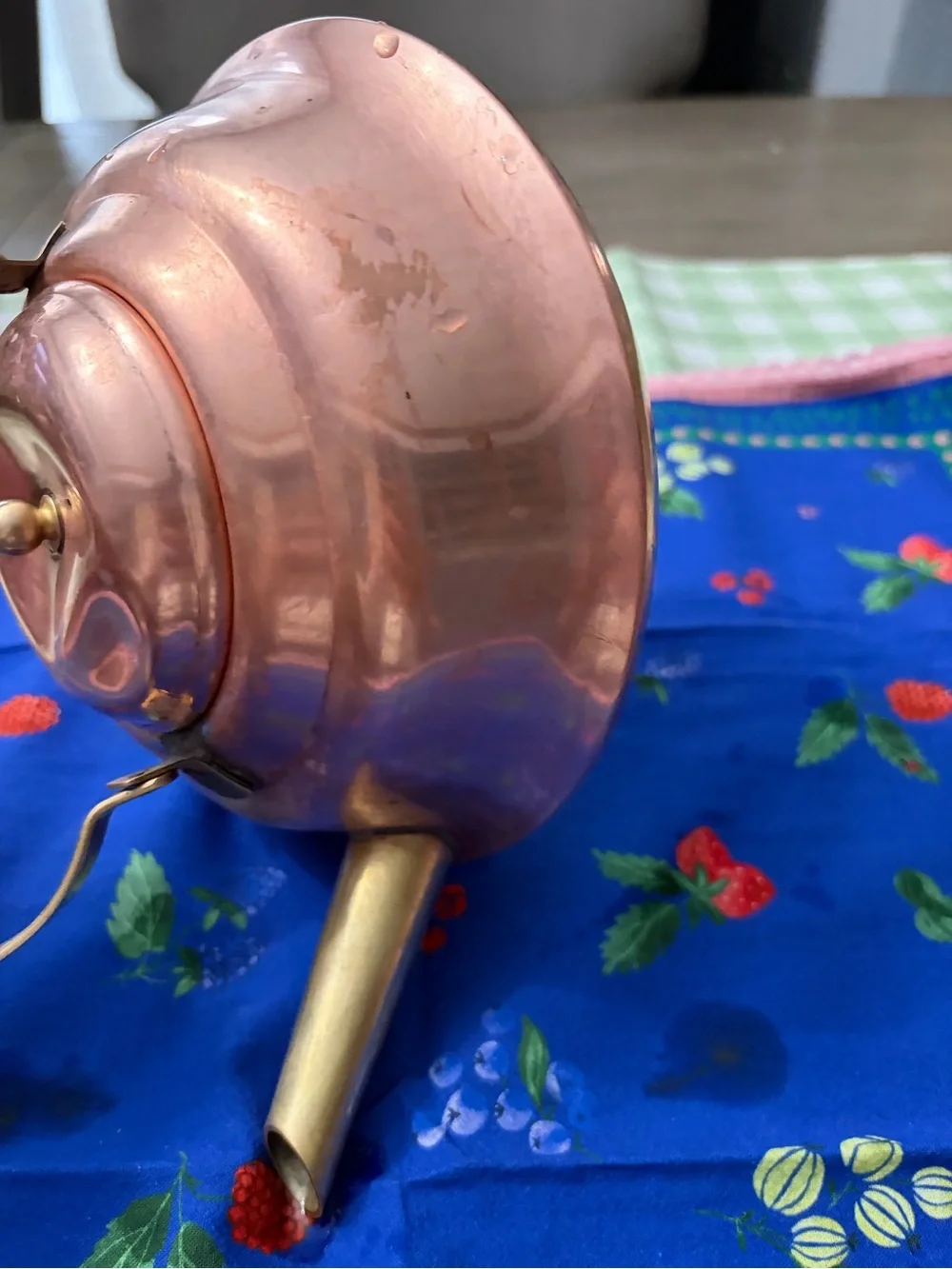 Copper Teakettle with Brass Spout and Black Handle decoration